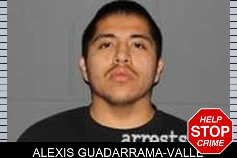 Alexis Guadarrama-Valle