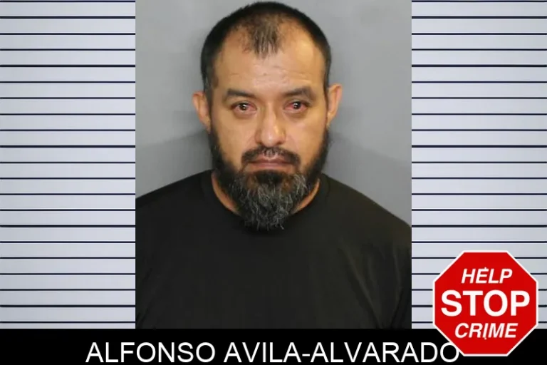 Alfonso Avila-Alvarado