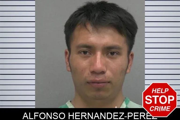 Alfonso Hernandez-Perez