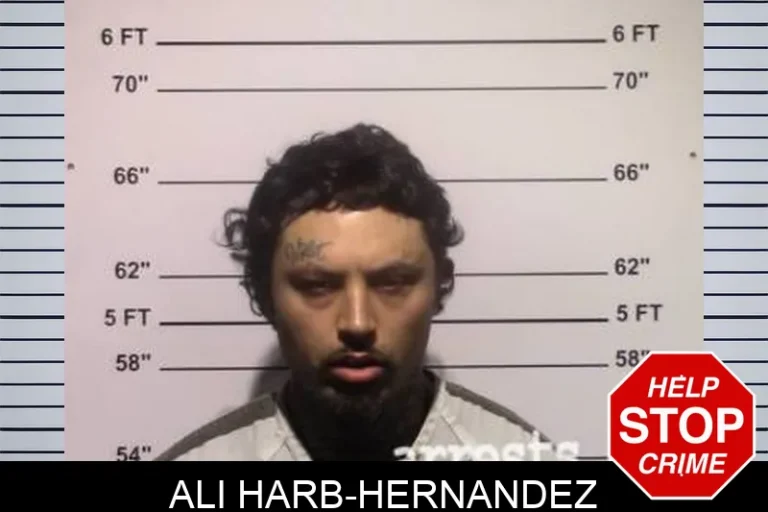 Ali Harb-Hernandez