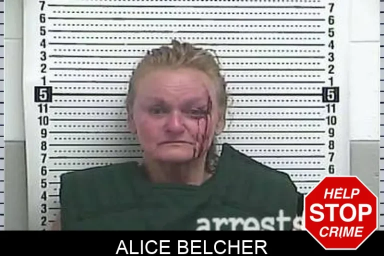 Alice Belcher
