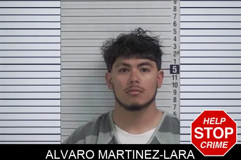 Alvaro Martinez-Lara