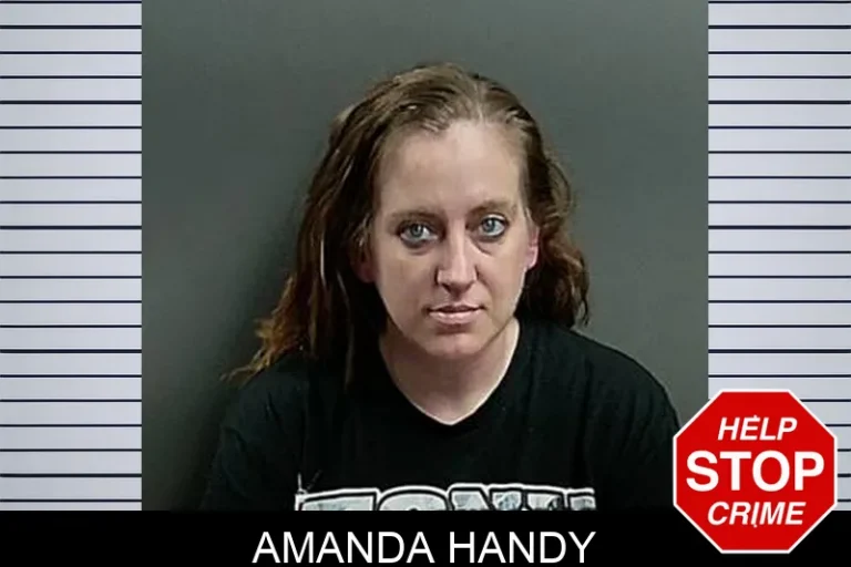 Amanda Handy