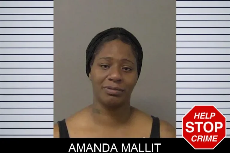 Amanda Mallit