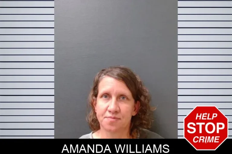 Amanda Williams