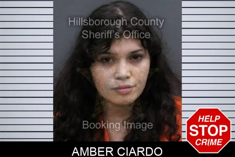 Amber Ciardo