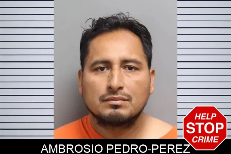 Ambrosio Pedro-Perez