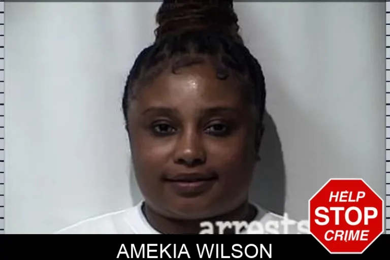Amekia Wilson
