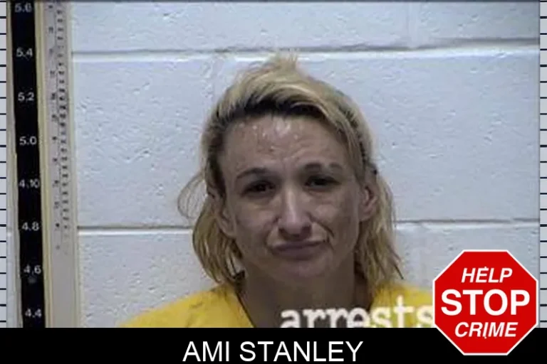 Ami Stanley