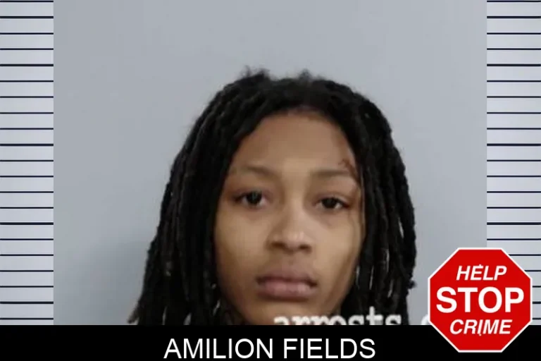 Amilion Fields