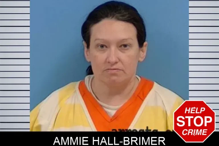 Ammie Hall-Brimer