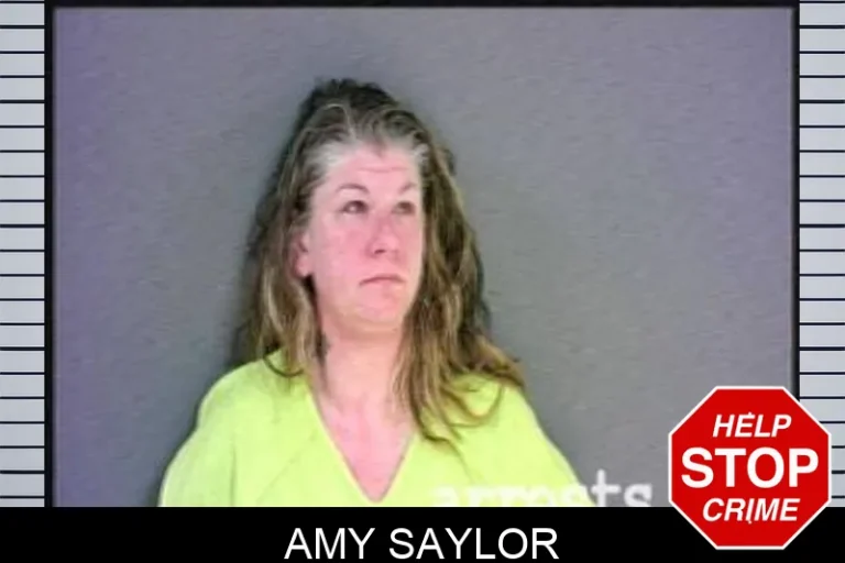 Amy Saylor