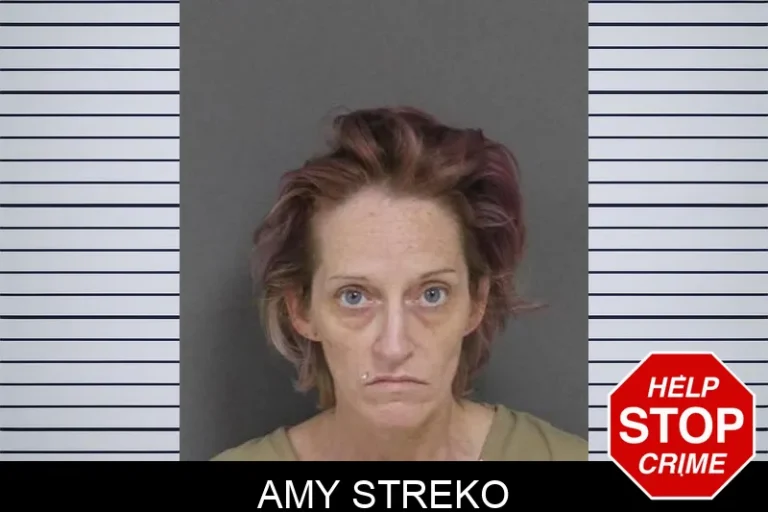 Amy Streko