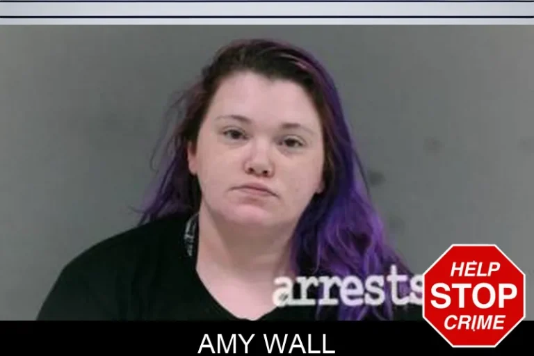 Amy Wall