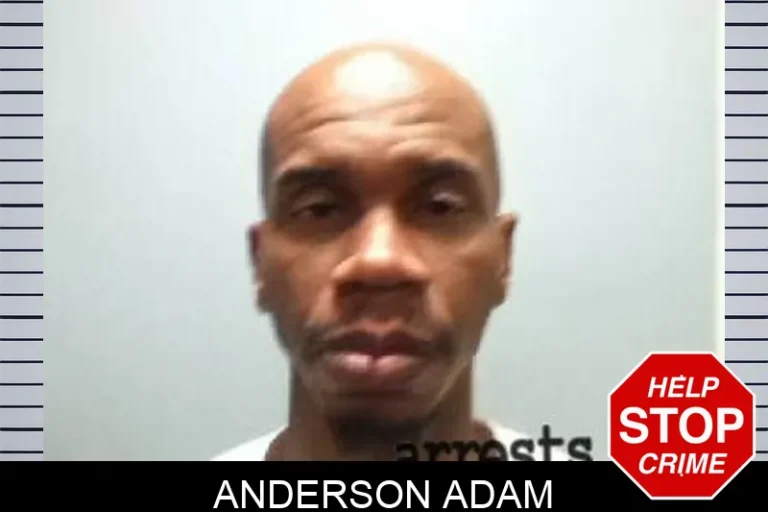 Anderson Adam
