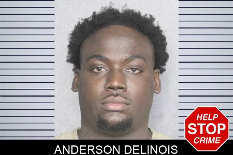 Anderson Delinois