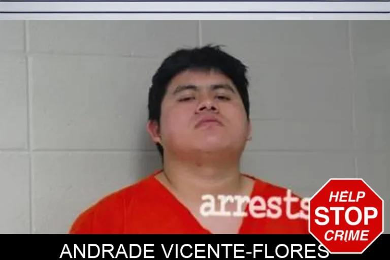 Andrade Vicente-Flores