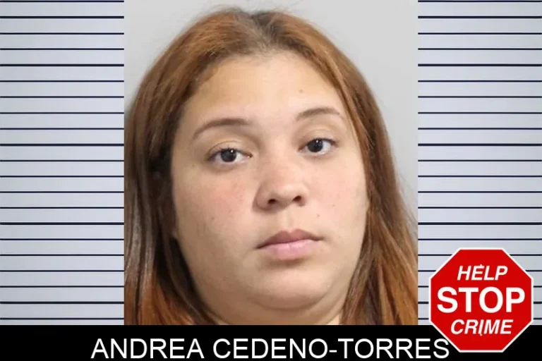 Andrea Cedeno-Torres