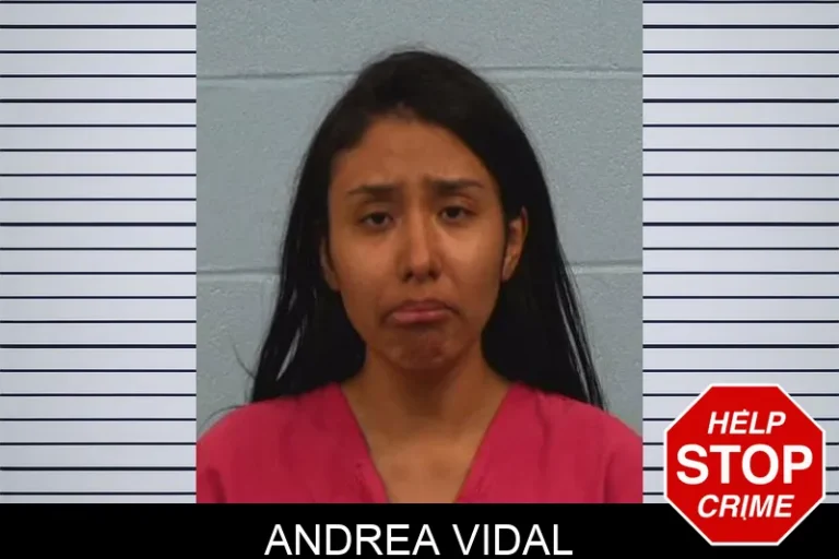 Andrea Vidal