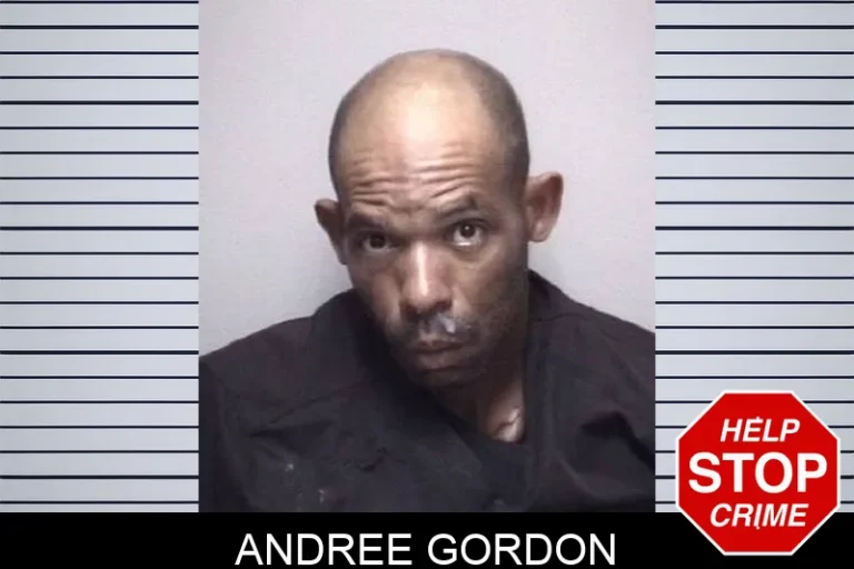 Andree Gordon