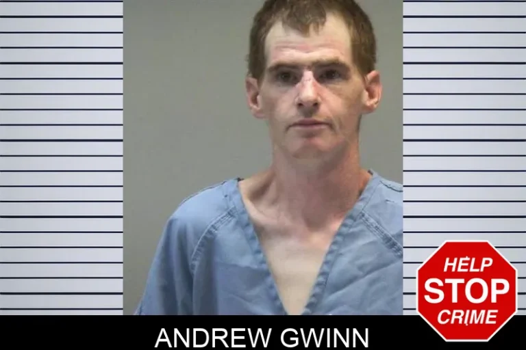 Andrew Gwinn