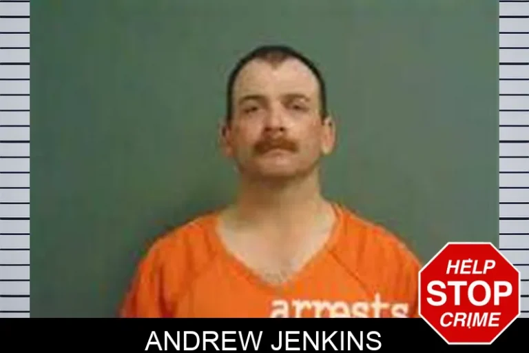 Andrew Jenkins