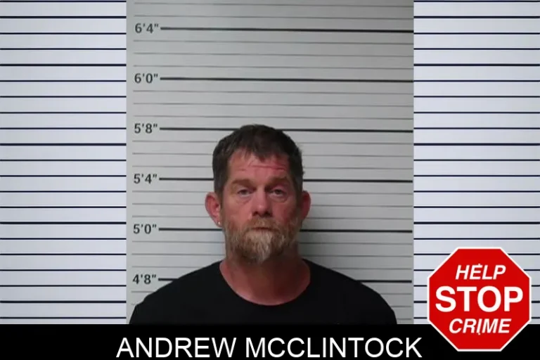 Andrew McClintock