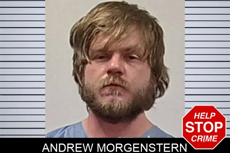 Andrew Morgenstern