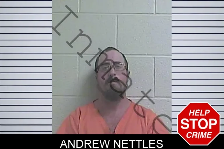 Andrew Nettles