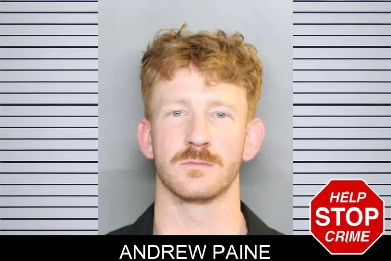 Andrew Paine