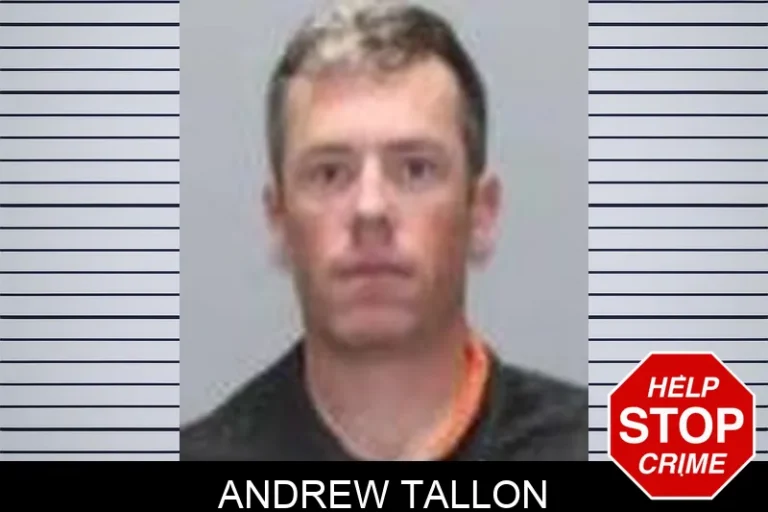 Andrew Tallon
