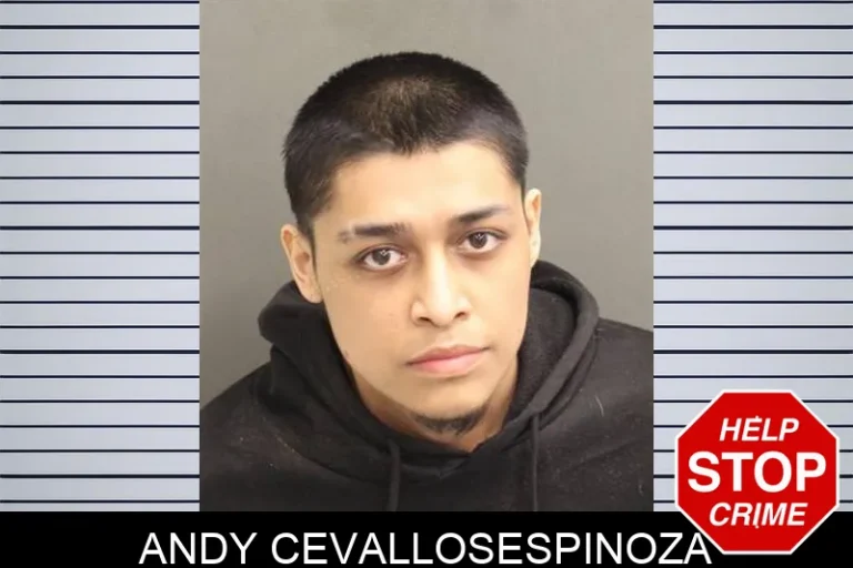 Andy Cevallosespinoza