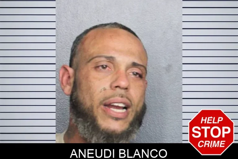 AneuDi Blanco