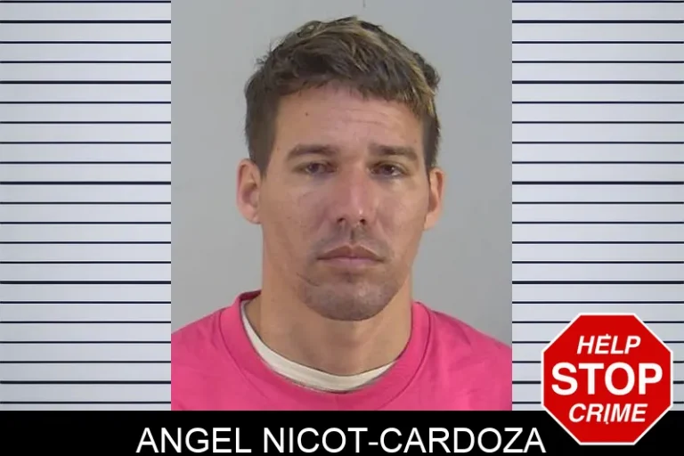 Angel Nicot-Cardoza