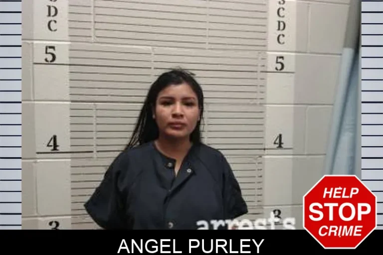 Angel Purley