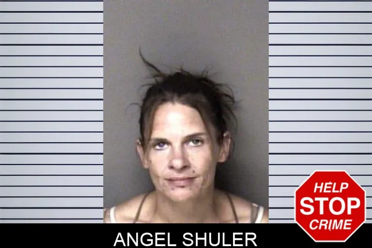 Angel ShuLer