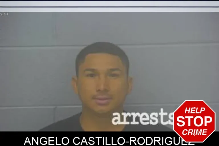 Angelo Castillo-RodriguEz