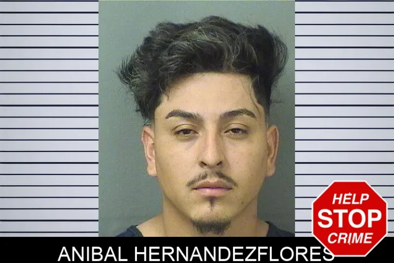 Anibal Hernandezflores