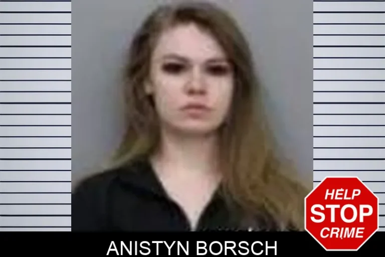 Anistyn Borsch