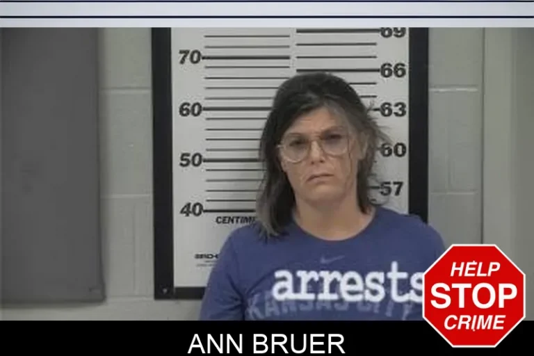 Ann BruEr