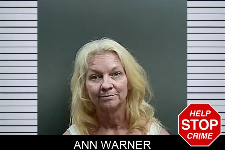 Ann Warner