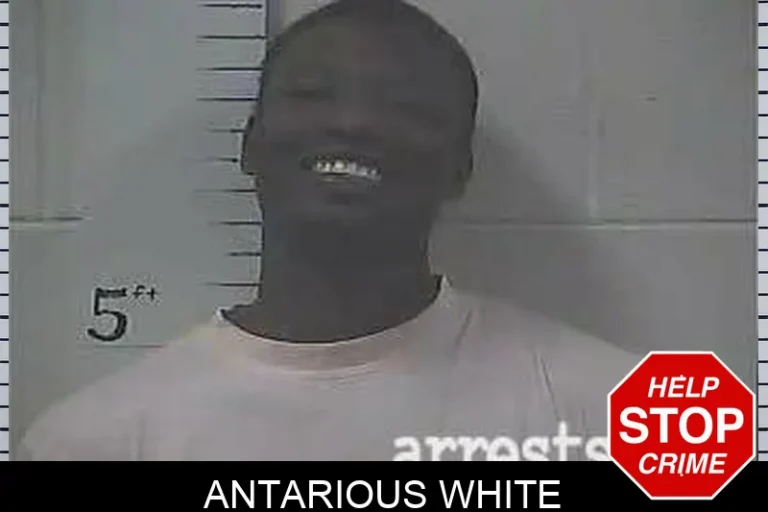 AntariouS White