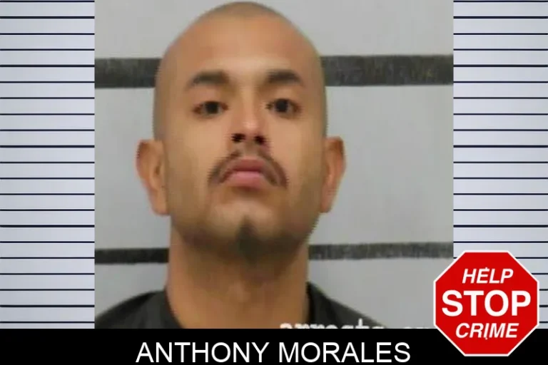 Anthony Morales