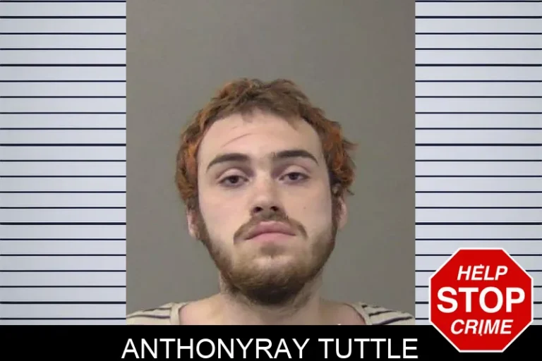 Anthonyray TuTtle