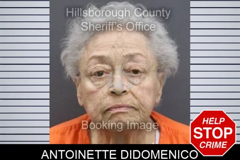 Antoinette Didomenico