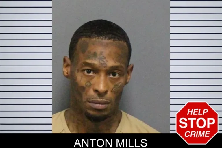 Anton Mills