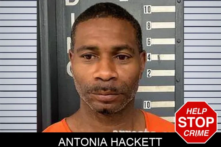 Antonia Hackett