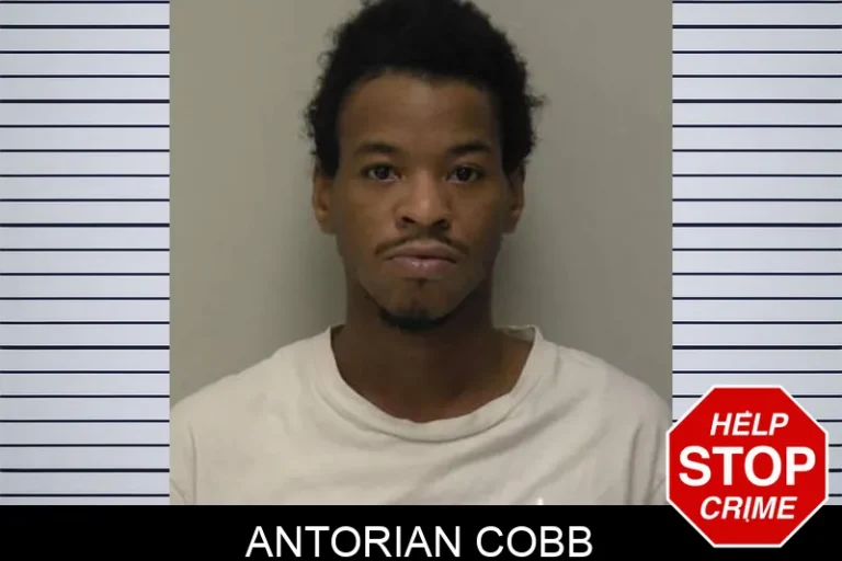 Antorian Cobb