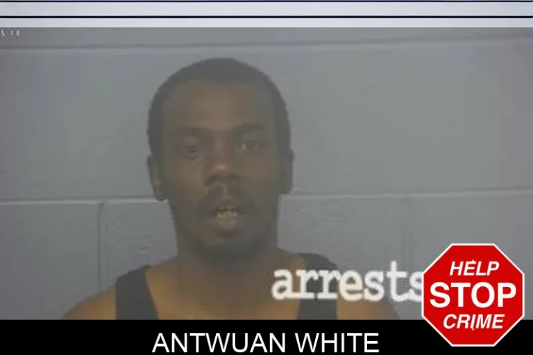 AntwuAn White