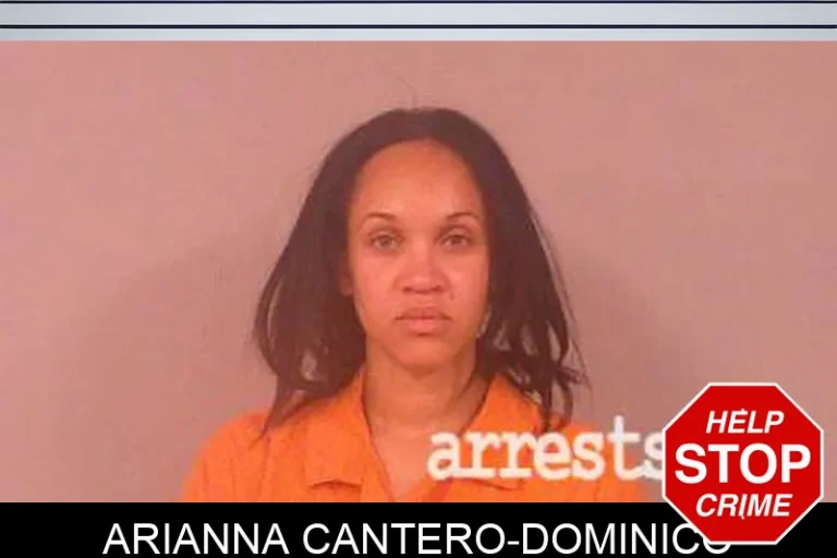Arianna Cantero-Dominico